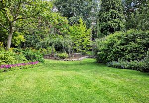 Optimiser l'expérience du jardin à Beaurevoir